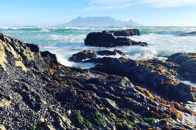 Authentic Cape Town Tour - The big idea: Cape Town, guided like a local would show it