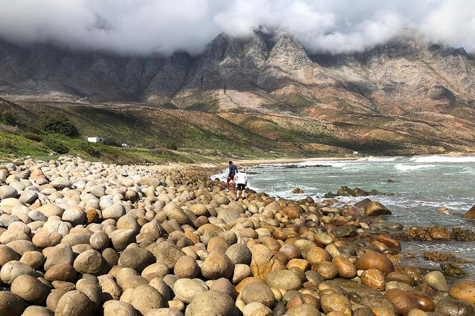 Authentic Cape Town Tour - Why private matters more than you think (especially with pickup)