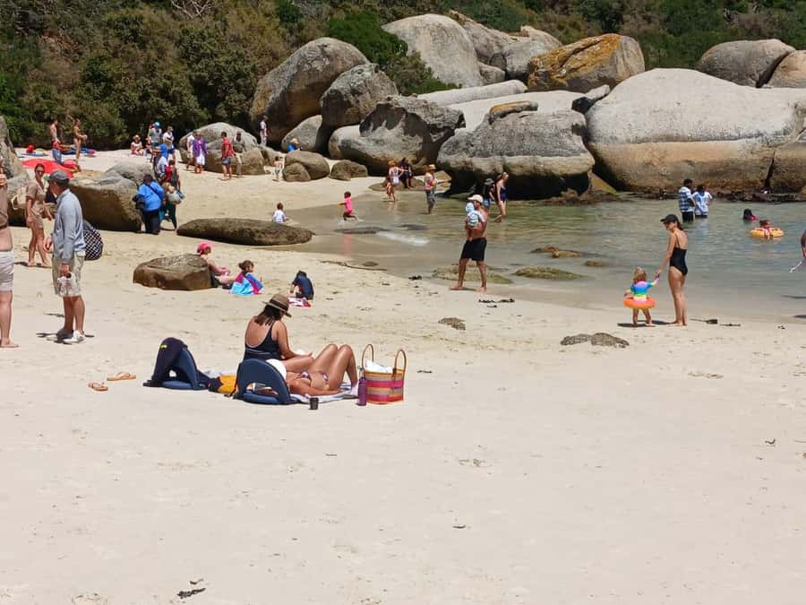 Beach Day at Boulder's Beach & Penguin watching, Half Day - Key things to notice before you go