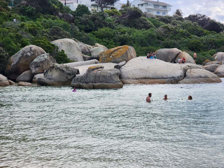 Beach Day at Boulder's Beach & Penguin watching, Half Day - Group-tour reality check, plus how to get the best day