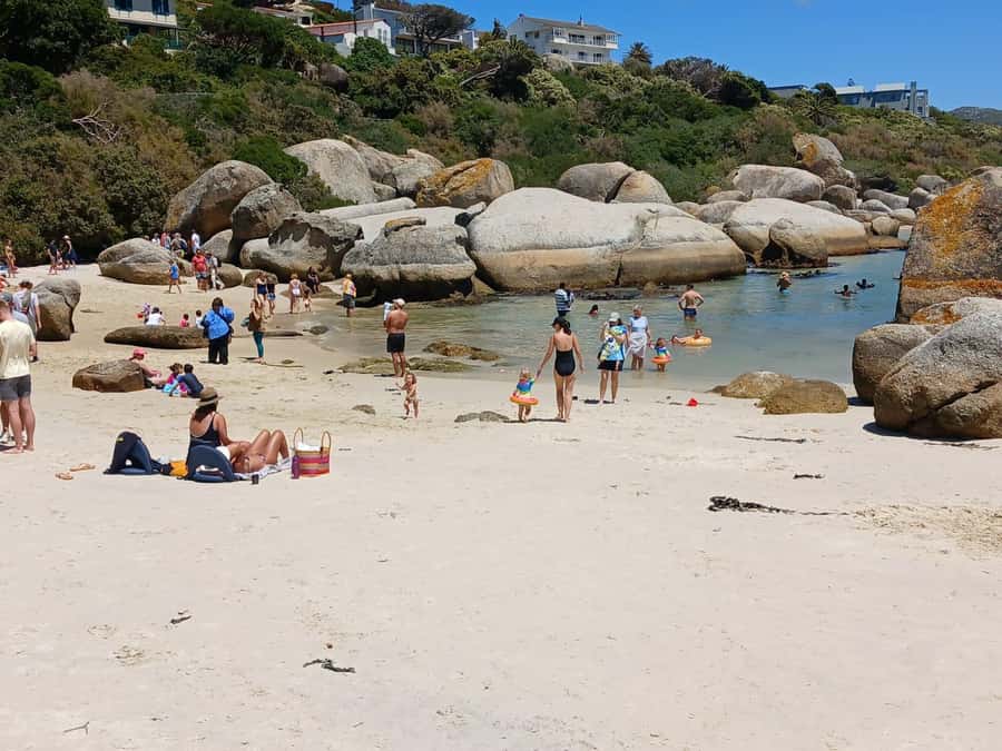 Beach Day at Boulder's Beach & Penguin watching, Half Day - Who should book this tour, and who might not
