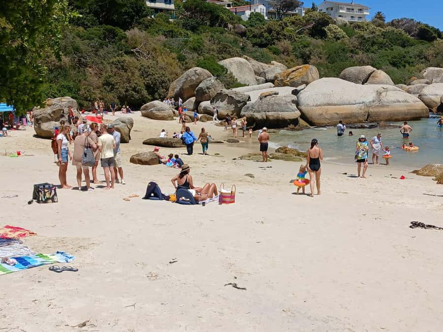 Beach Day at Boulder's Beach & Penguin watching, Half Day - Should you book Beach Day at Boulders Beach and Penguin watching?