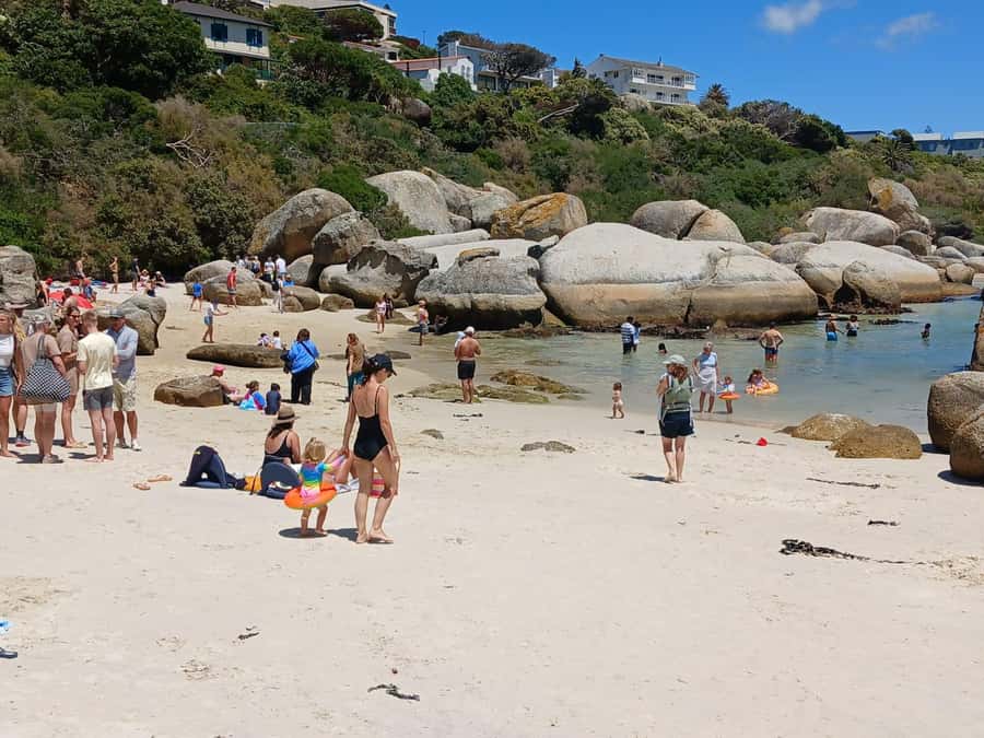 Beach Day at Boulder's Beach & Penguin watching, Half Day - Chapman’s Peak Drive, the coastal road that does the talking