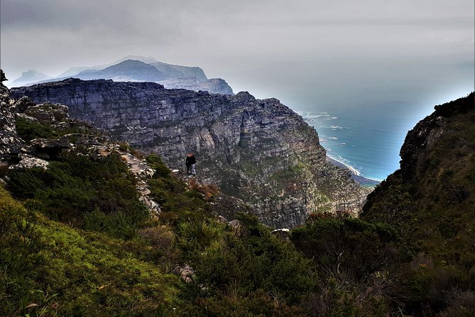 Beautiful Table Mountain Hike - The Trail Story: Plants, Animals, and History From Your Guide
