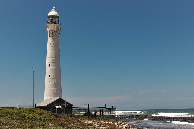 Best of Cape Town Cape Point and Wineries Combined Private Tour - Price and Budget Reality: What You Pay vs What You’ll Still Owe