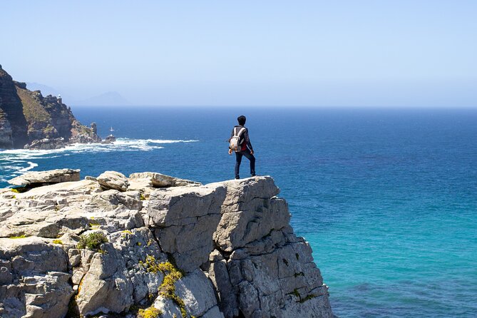 Best of Cape Town Cape Point and Wineries Combined Private Tour - Who This Tour Is Perfect For, and Who Might Want Something Else