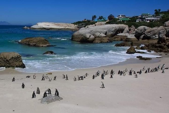Best Of The Cape 8 Hour Private Tour - How This 8-Hour Private Cape Day Flows From 8am