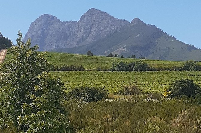 Best Of The Cape 8 Hour Private Tour - Cape Point Nature Reserve, Animals, and the Lighthouse