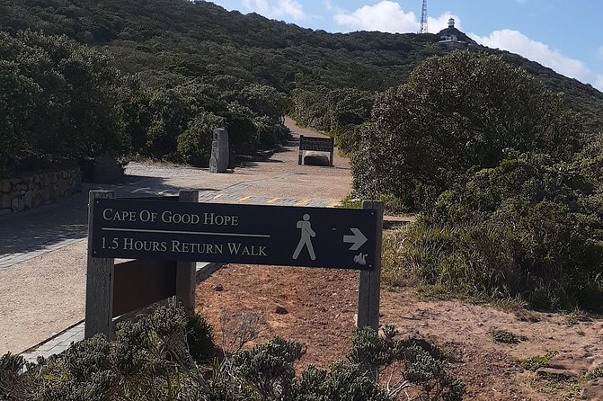 Best Of The Cape 8 Hour Private Tour - Cape of Good Hope and That Two-Ocean Moment
