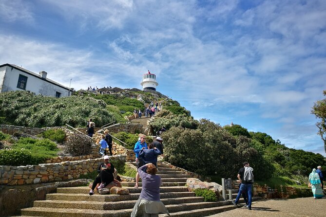 Best of the Cape Full Day Private Tour - Chapman’s Peak Drive: the quick stop with big payoff