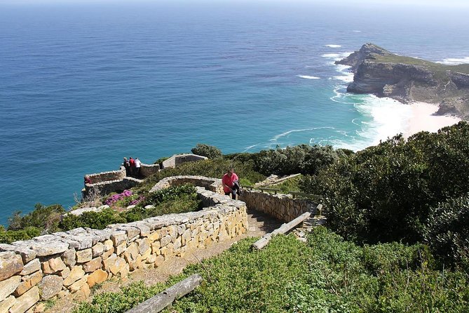 Best of The Cape Full Day Private Tour with Table Mountain - Chapmans Peak Drive: Scenic Drive Number 2 Worth the Stop
