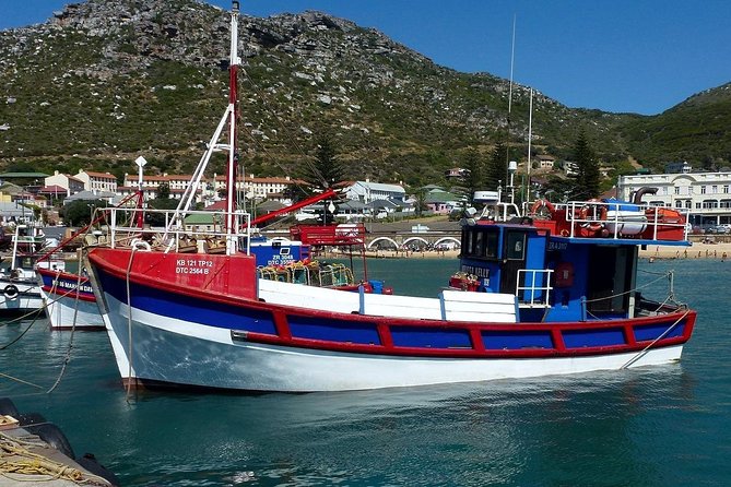 Best of The Cape Full Day Private Tour with Table Mountain - Cape of Good Hope: The Southern Tip Feeling