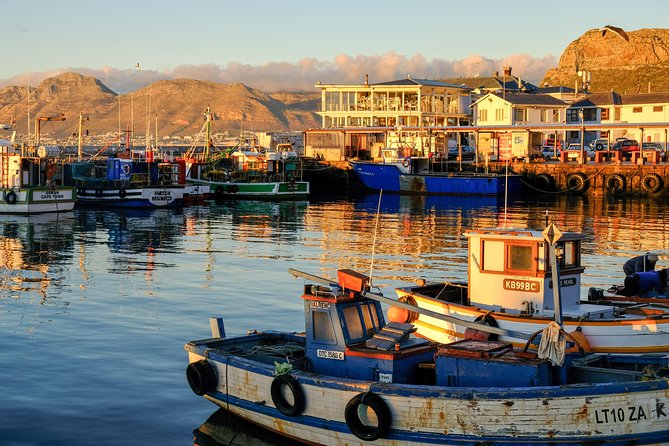 Best of the Cape Peninsula Private Tour - Chapmans Peak Drive: the relaxing coastal road moment