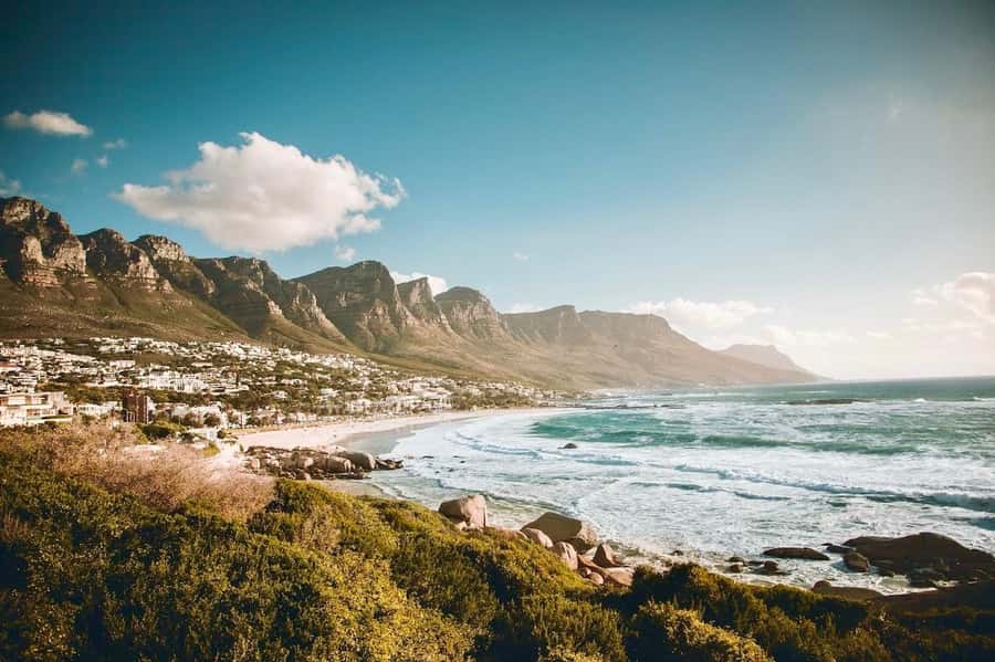 Best of the Cape Peninsula & Wine Route with Wine Tasting - New Cape Point Lighthouse, Simon’s Town, and the Cape end-game