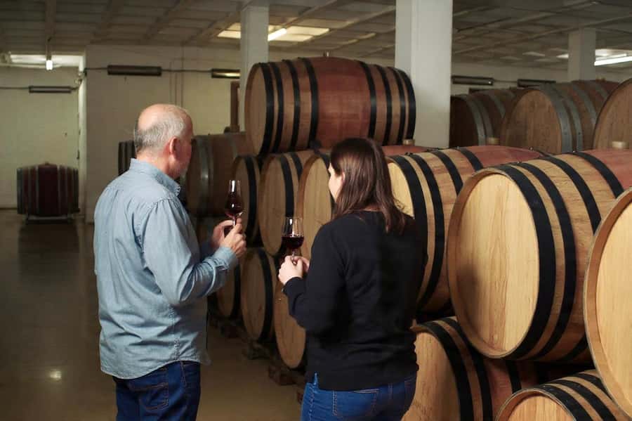 Best of the Cape Peninsula & Wine Route with Wine Tasting - Stellenbosch: the wine route becomes real
