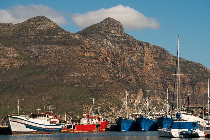 Best of the Cape Private full day tour - The private day tour experience, built for pacing and comfort