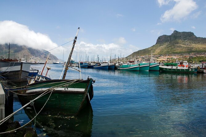 Best of the Cape Private full day tour - Maiden’s Cove photo stop: small time window, big coastline payoff