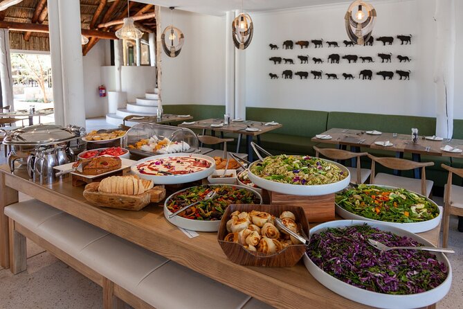 Big 5 Aquila Safari Full Day Tour and Lunch - The Aquila Private Game Reserve Game Drive: How You’ll See the Big Five