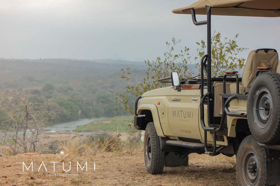 Big 5 Safari Am or Pm - Key Points You Should Know Before You Go