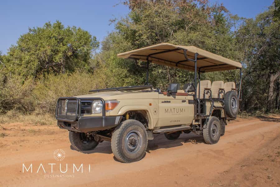 Big 5 Safari Am or Pm - Why a Hoedspruit Big Five Safari Feels More Personal