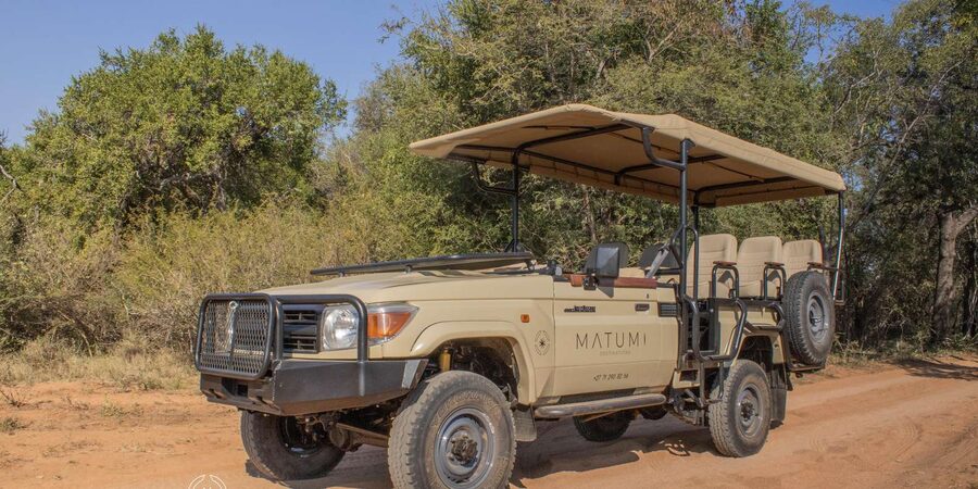 Big 5 Safari Am or Pm - Who Should Book This Big Five Safari AM or PM
