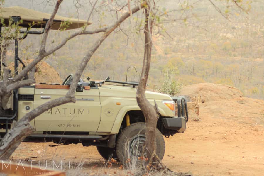 Big 5 Safari Am or Pm - Open Safari Vehicles, Tracking Skills, and Radio Updates