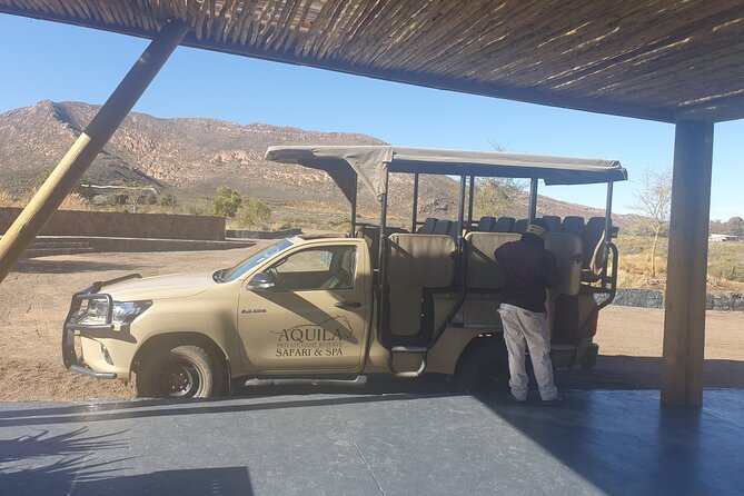 Big 5 Safari Aquila Full Day Private Return From Cape Town - Aquila Private Game Reserve: what a Big Five day really delivers
