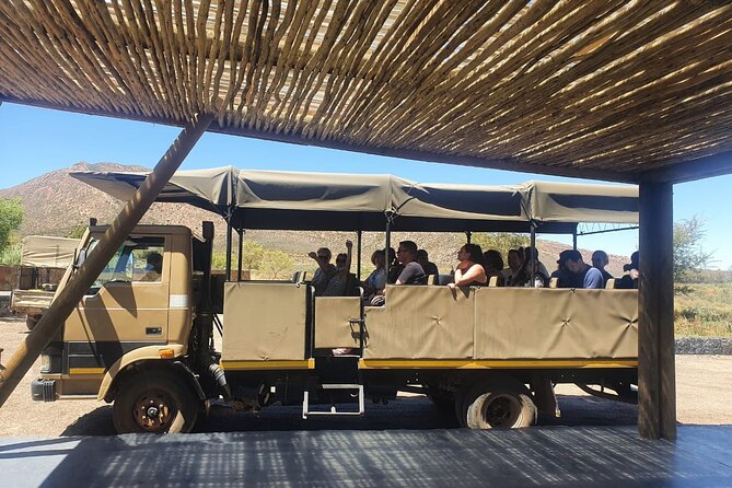 Big 5 Safari Aquila Full Day Private Return From Cape Town - Meals at Aquila: the part that turns a safari into a full day