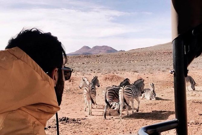 Big 5 Safari One Day Tour - Scenic stops on the way back: energy for the final stretch