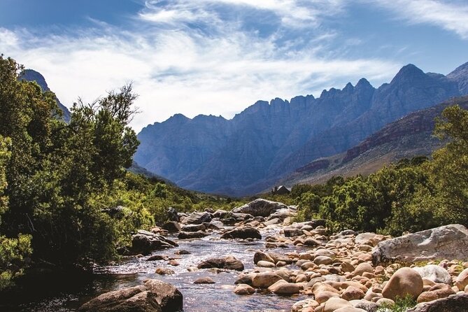 Big Five Safari and Breede River Valley Guided Day Trip - Price and logistics: what you really get for $155.29