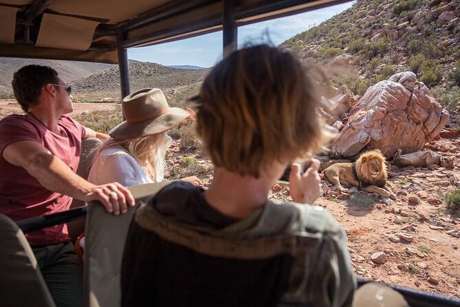 Big Five Safari Experience Near Cape Town ,South Africa - Who should book this Big Five day safari