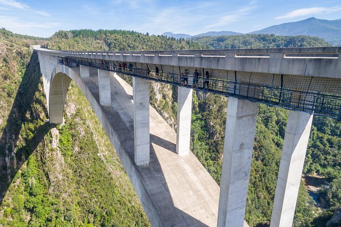 Bloukrans Bungy, the worlds best bungy jump! - Why Bloukrans Bungy feels like a true Garden Route bucket list