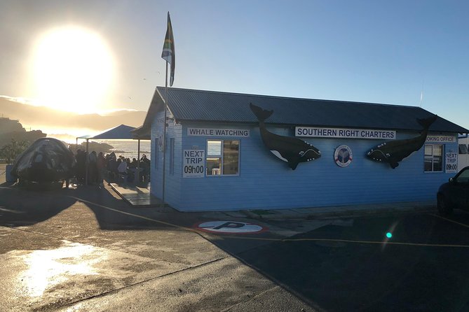 Boat Based Whale Watching from Hermanus - What You Will Look For on the Water