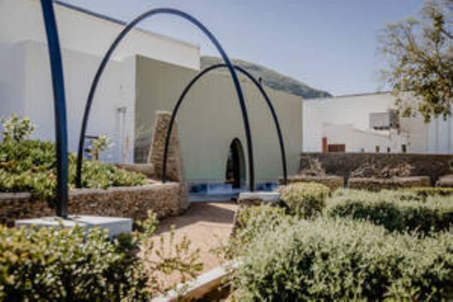 Bonnievale : Captivated By Chardonnay - Underground Tasting at Weltevrede: Why This Setting Matters