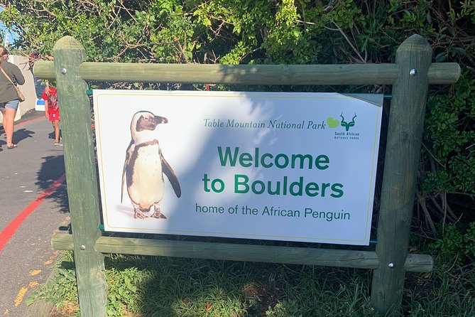 Boulders Beach Penguins and Seal Island Boat Trip Half Day Tour - Stop 2: Hout Bay Harbour, the Drumbeat Charters cruise, and Seal Island views