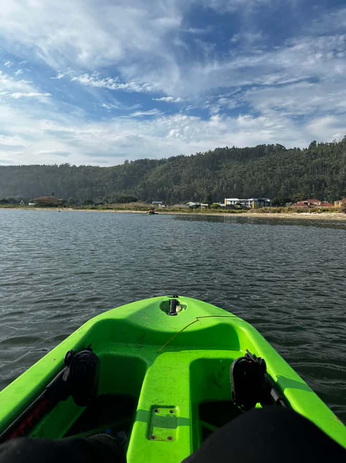 CANOEING IN SEDGEFIELD AT OYSTERS EDGE, GARDEN ROUTE - Birdwatching from your canoe: herons, kingfishers, and more
