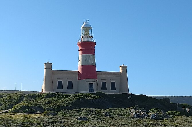 Cape Agulhas Full Day Private Tour - Guides, Questions, And The Small Things That Make It Better