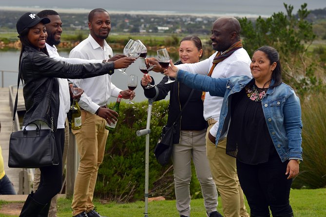 Cape Agulhas Full Day Private Tour from Cape Town - Stony Point Nature Reserve and the penguins you came for