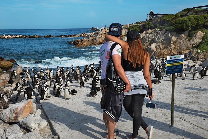 Cape Agulhas Full Day Private Tour from Cape Town - Price and value: why $216.80 can make sense for a far-reaching day
