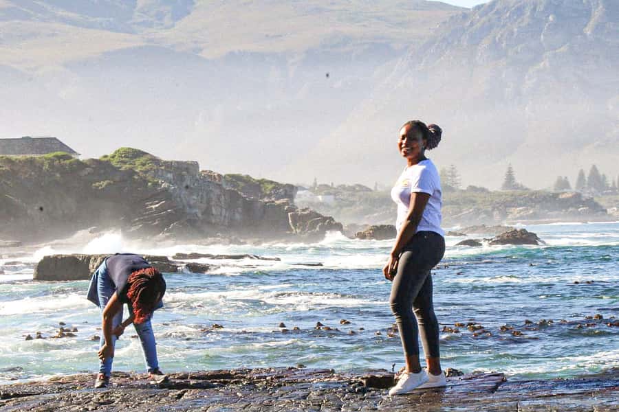Cape Agulhas, Hermanus & Stoney point Penguins full Day Tour - Stony Point penguin colony: the close-up moment