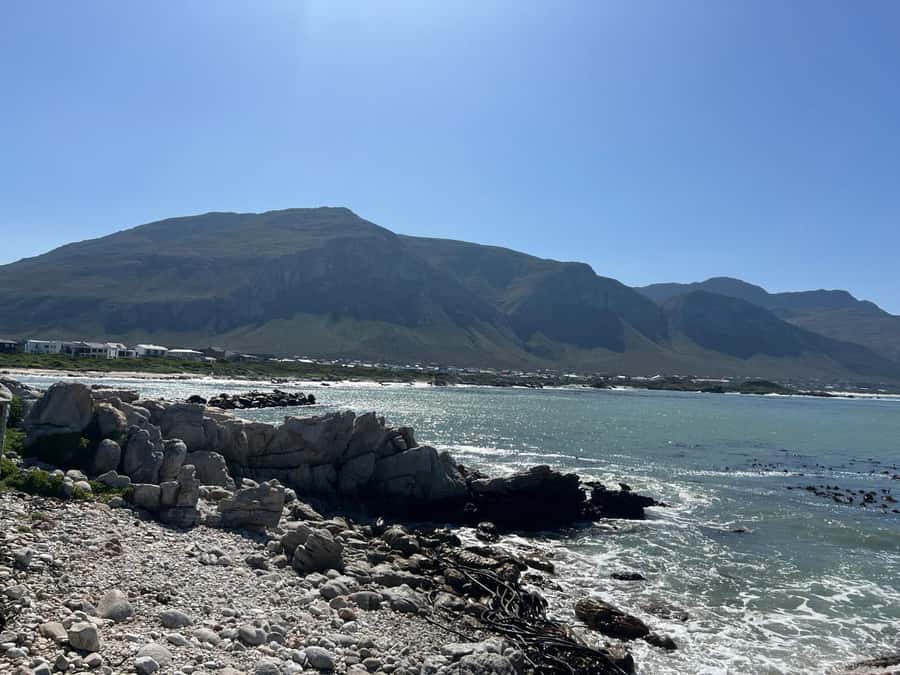 Cape Agulhas, Hermanus whales & Wine Tasting Day Trip - Stellenbosch wine tasting: the day’s payoff