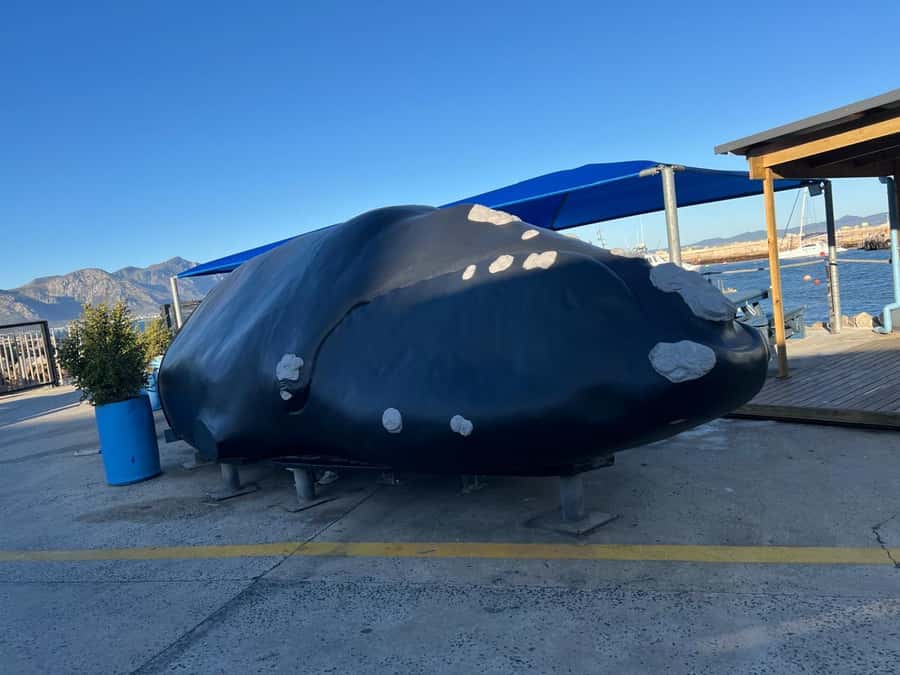 Cape Agulhas, Hermanus whales & Wine Tasting Day Trip - Khayelitsha, Napier, and Bredasdorp: culture and country in one loop