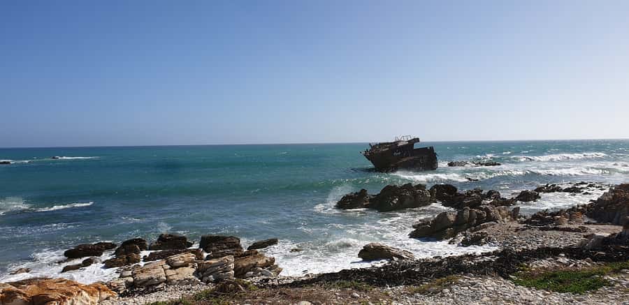 Cape Agulhas: Private Day Tour to Africa's Southernmost Tip. - The return route: more coast, whales to watch for, and time to breathe