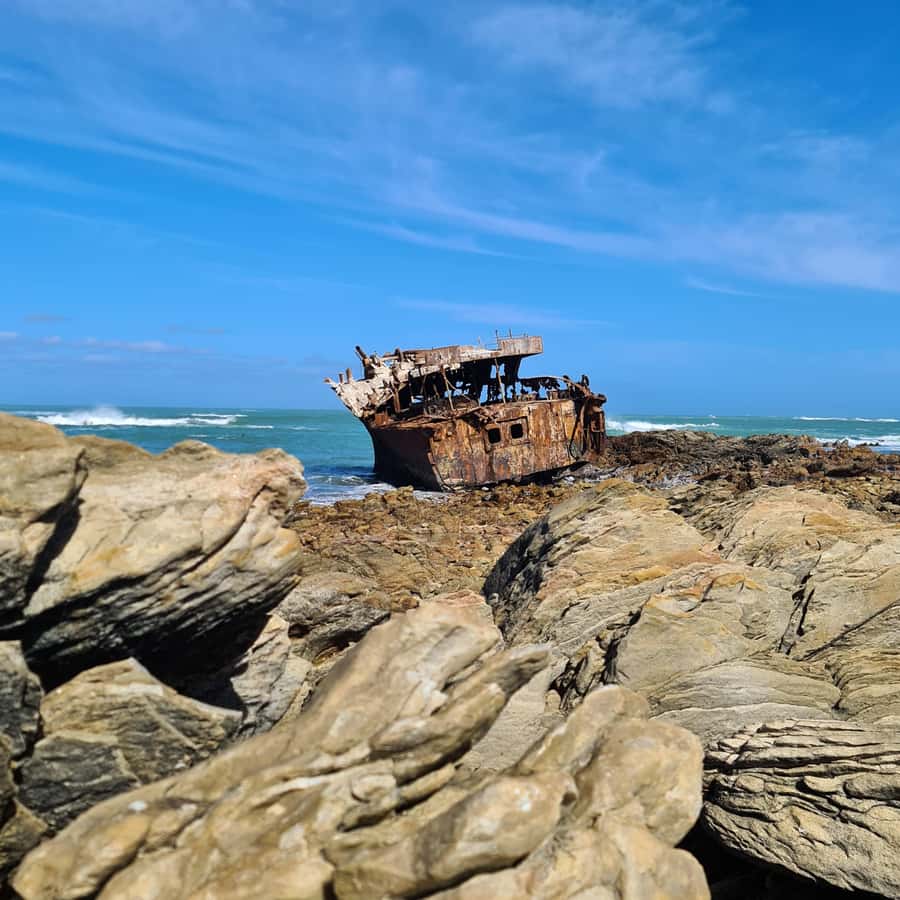 Cape Agulhas: Private Day Tour to Africa's Southernmost Tip. - Who this tour is best for (and who should consider something else)