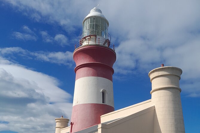 Cape Agulhas Southern Point of Africa Private Tour - Cape Agulhas, penguins, whales, and wine in a single day