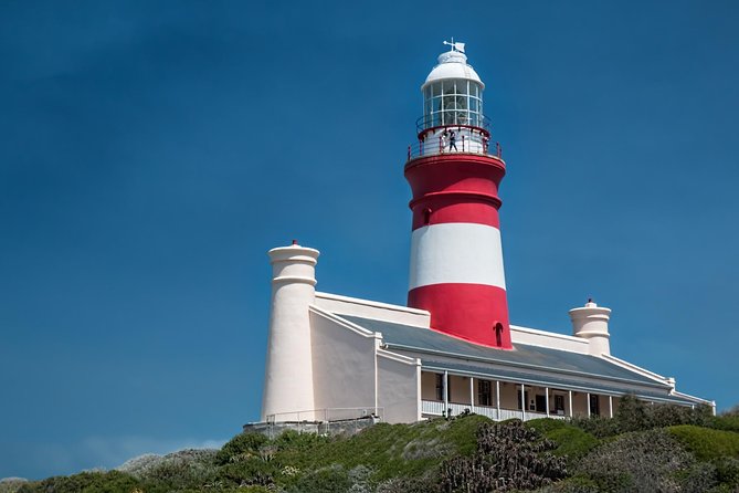 Cape Agulhas | Stony Point Nature Reserve - Bredasdorp Shipwreck Museum: 130 wrecks and the Graveyard of the ships