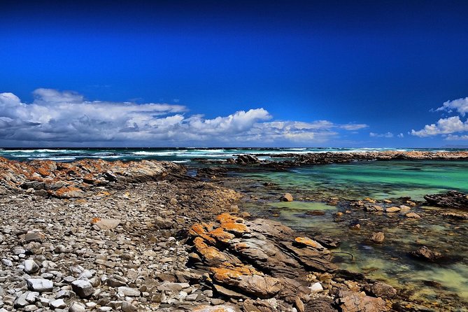Cape Agulhas | Stony Point Nature Reserve - Struisbaai Beach: warm water and the ocean-meet feeling