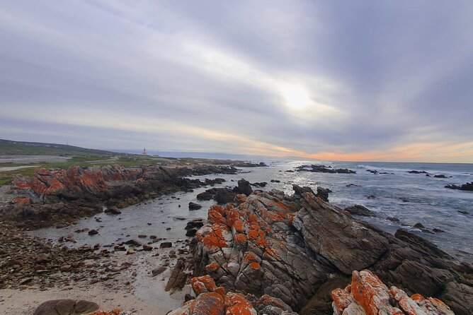 Cape Agulhas Tour - Khayelitsha: Getting Context Before You Reach the Coast