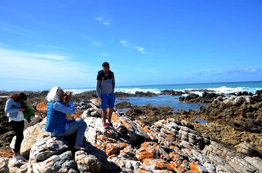 Cape Agulhas Tour from Cape Town - Key things to know before you go