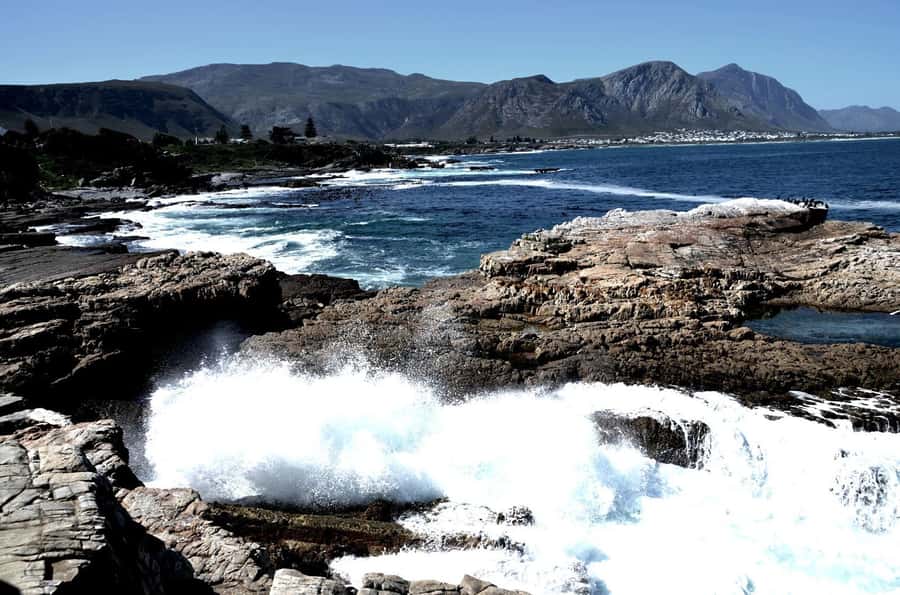 Cape Agulhas Tour from Cape Town - Overberg roads, citrus orchards, and a Caledon pause
